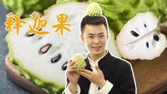 哥哥吃瓜的歌谣,笑谈人间百态