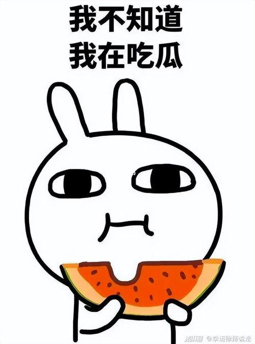 吃瓜被表白全集,一场意外的甜蜜表白之旅