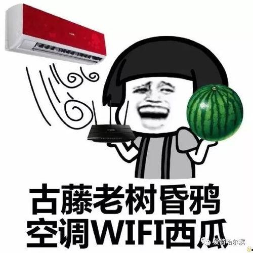 吃瓜群众选谁,谁将成为下一任焦点人物？