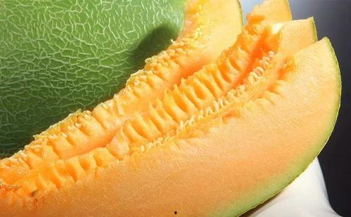 7月吃哈密瓜