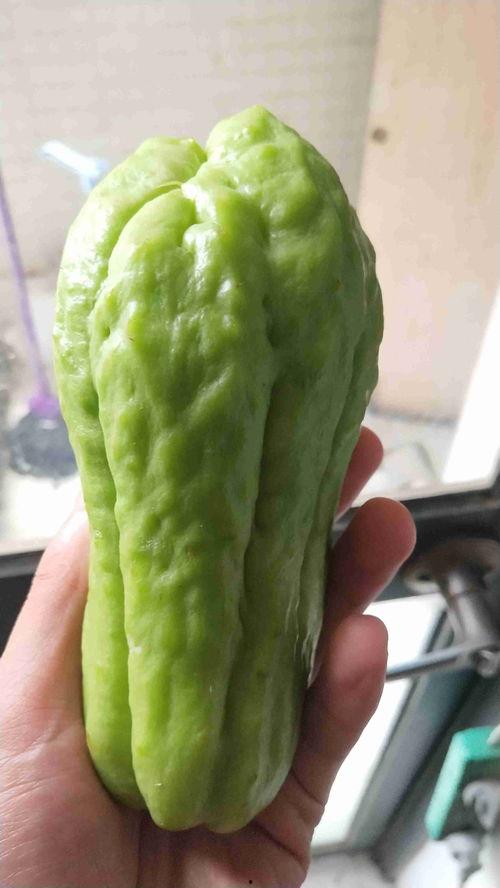 大芋瓜怎么吃,探索美味与营养的完美结合