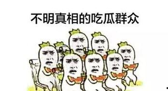 安静吃瓜好吗,品味生活美好