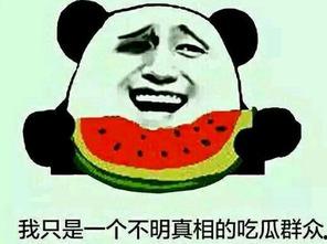 国庆吃瓜群众在线,全民狂欢中的趣味观察