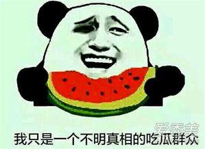 看瓜吃瓜是什么意思,网络热词背后的社会现象