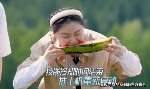 为了吃瓜也是拼了,拼尽全力！